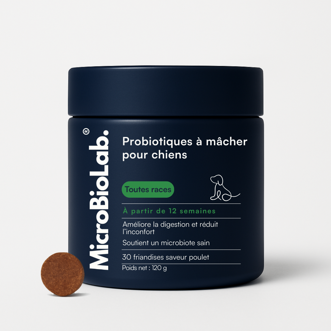DailyBiotic™ – Probiotiques pour chiens | MicroBioLab.®