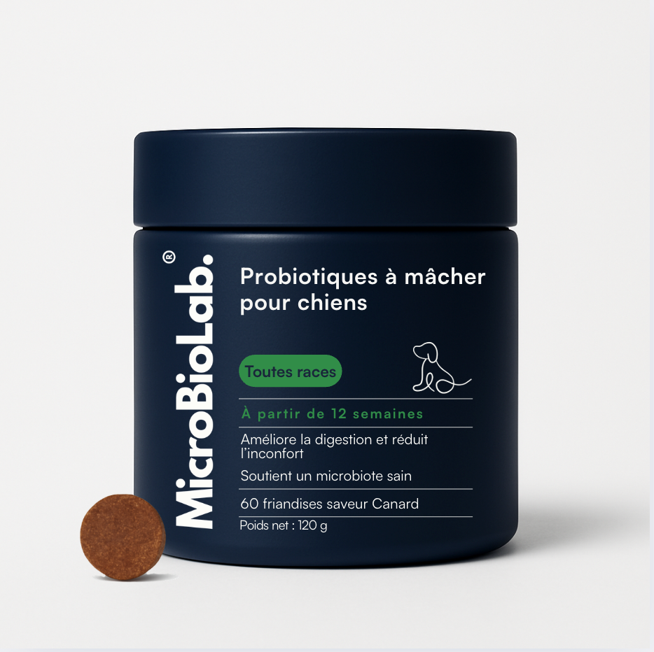 Probiotiques pour chiens | MicroBioLab.®