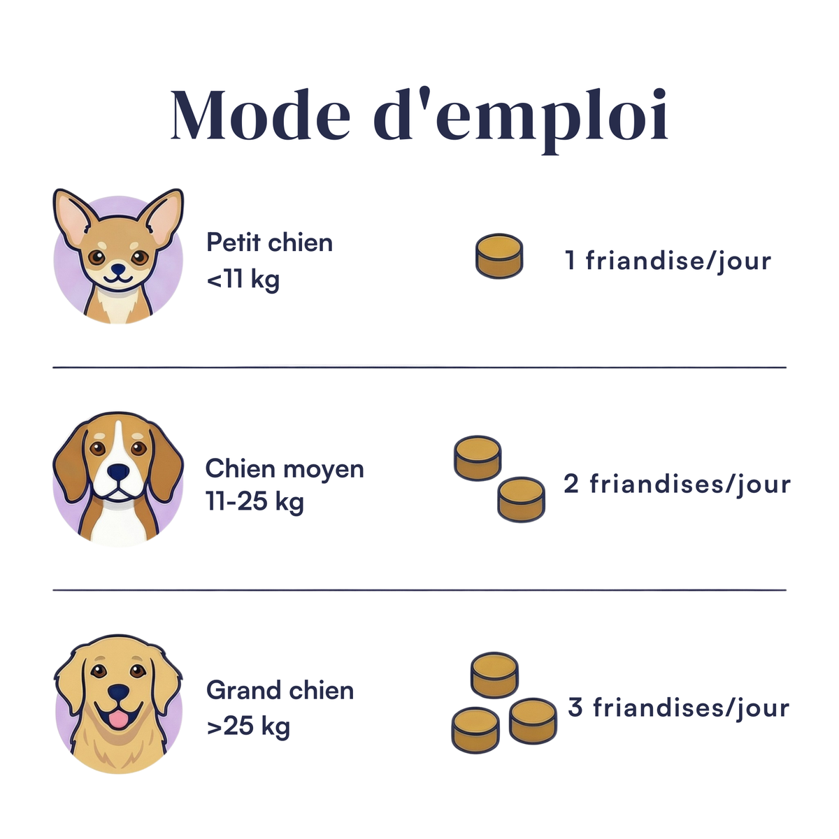 Dailybiotic - probiotiques pour chiens | MicroBioLab.®