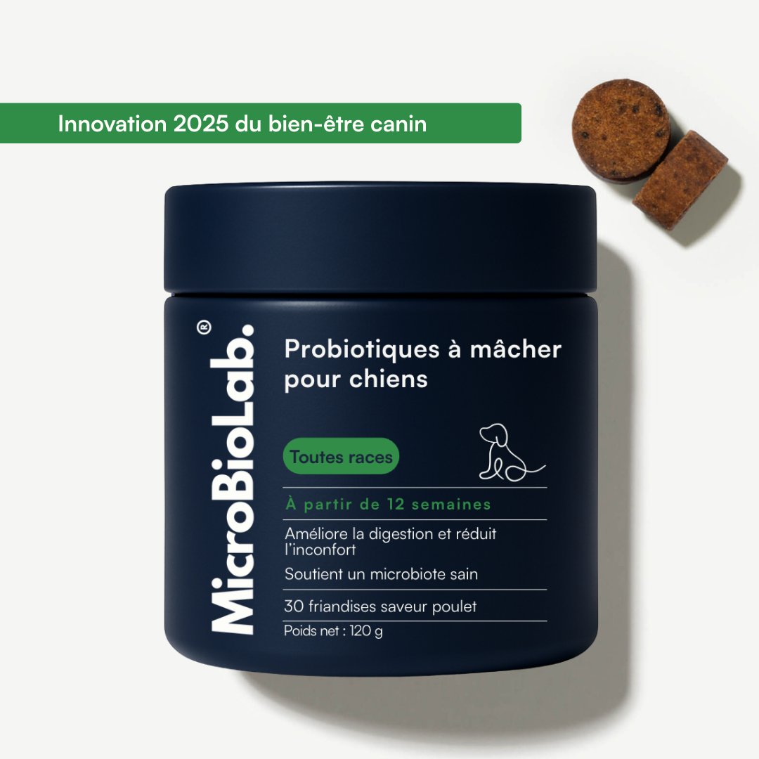DailyBiotic™ – Probiotiques pour chiens | MicroBioLab.®