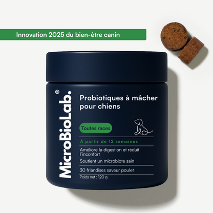 DailyBiotic™ – Probiotiques pour chiens | MicroBioLab.®