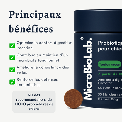 DailyBiotic™ – Probiotiques pour chiens | MicroBioLab.®