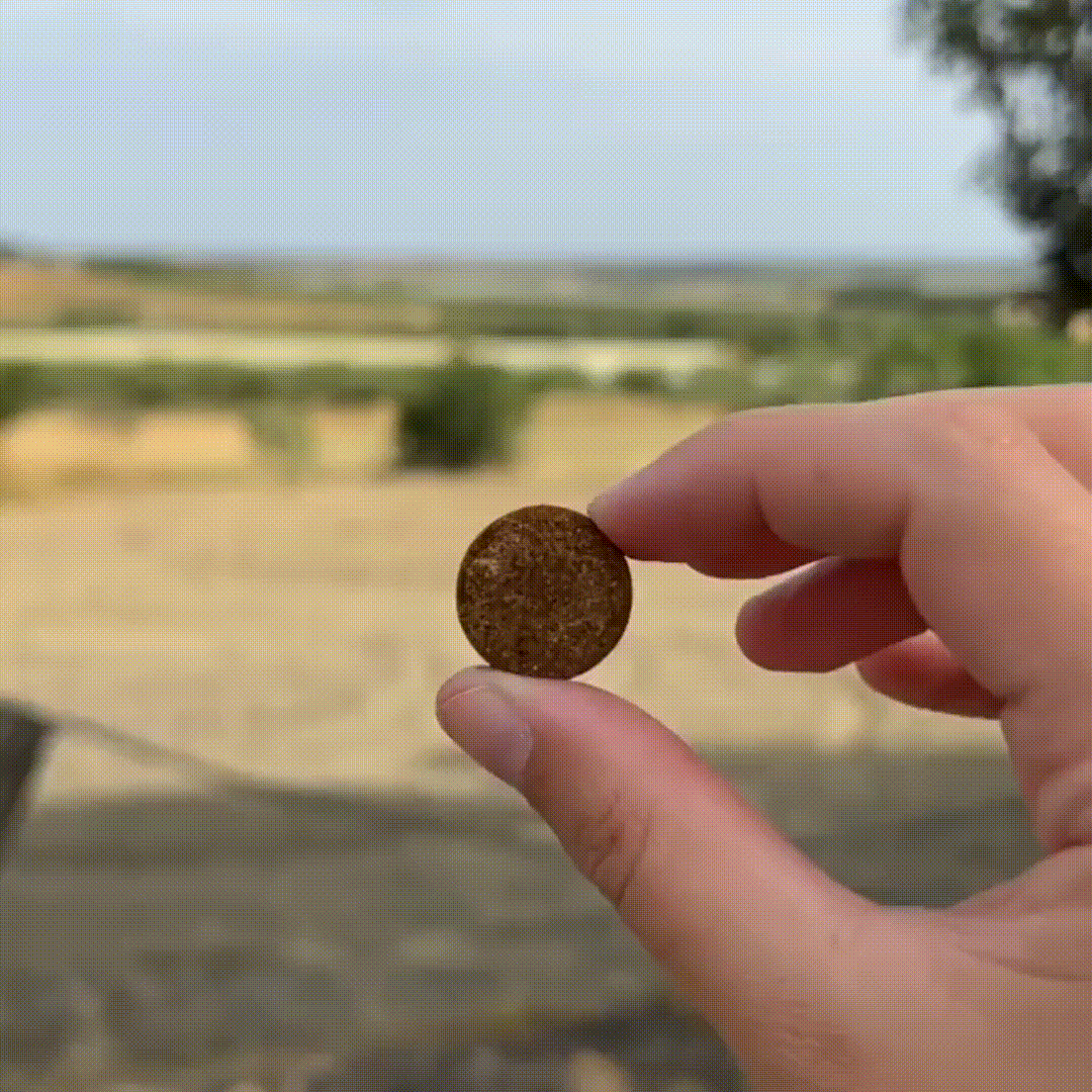 Probiotiques pour chiens | MicroBioLab.®