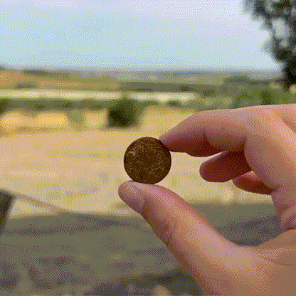 Probiotiques pour chiens | MicroBioLab.®