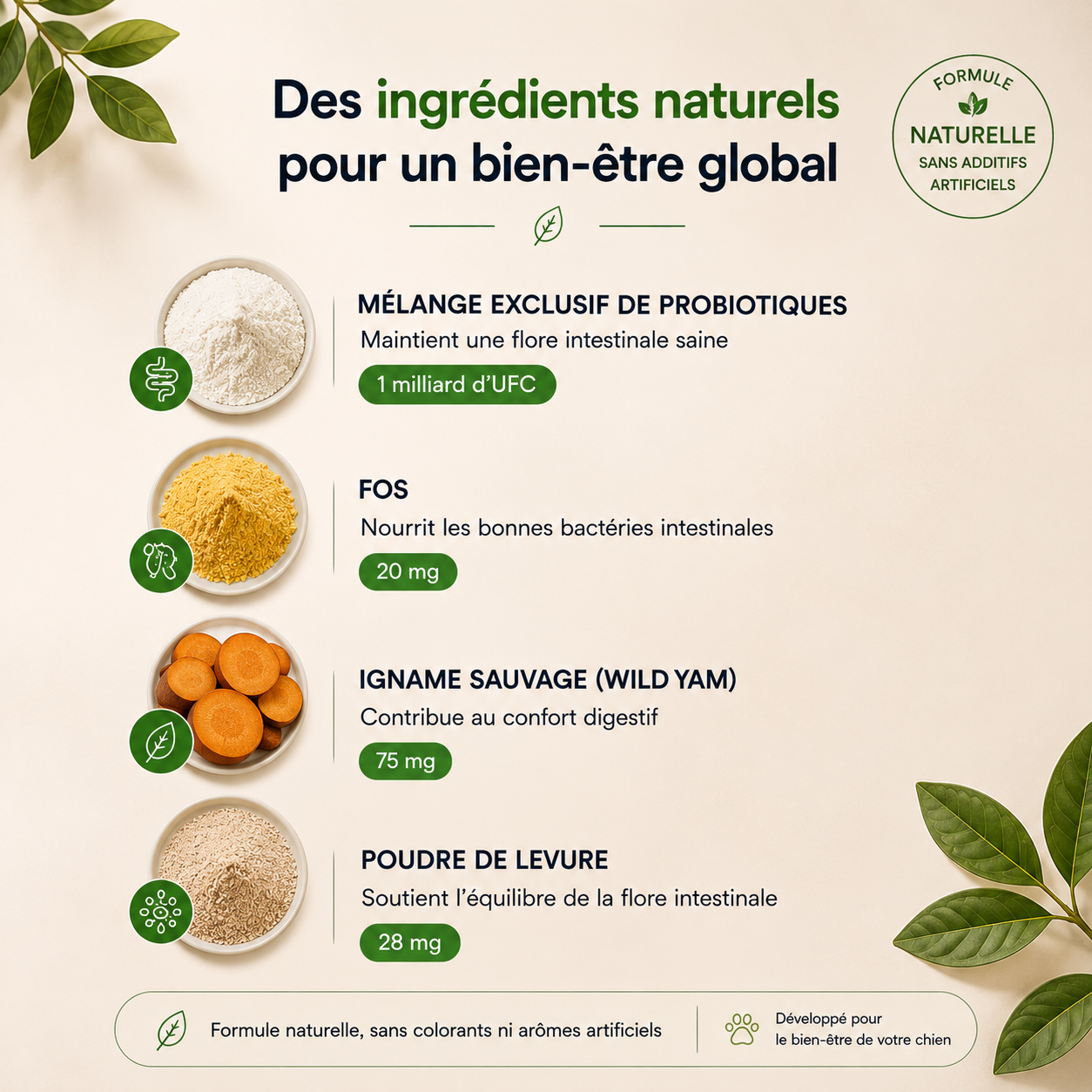 Dailybiotic - probiotiques pour chiens | MicroBioLab.®