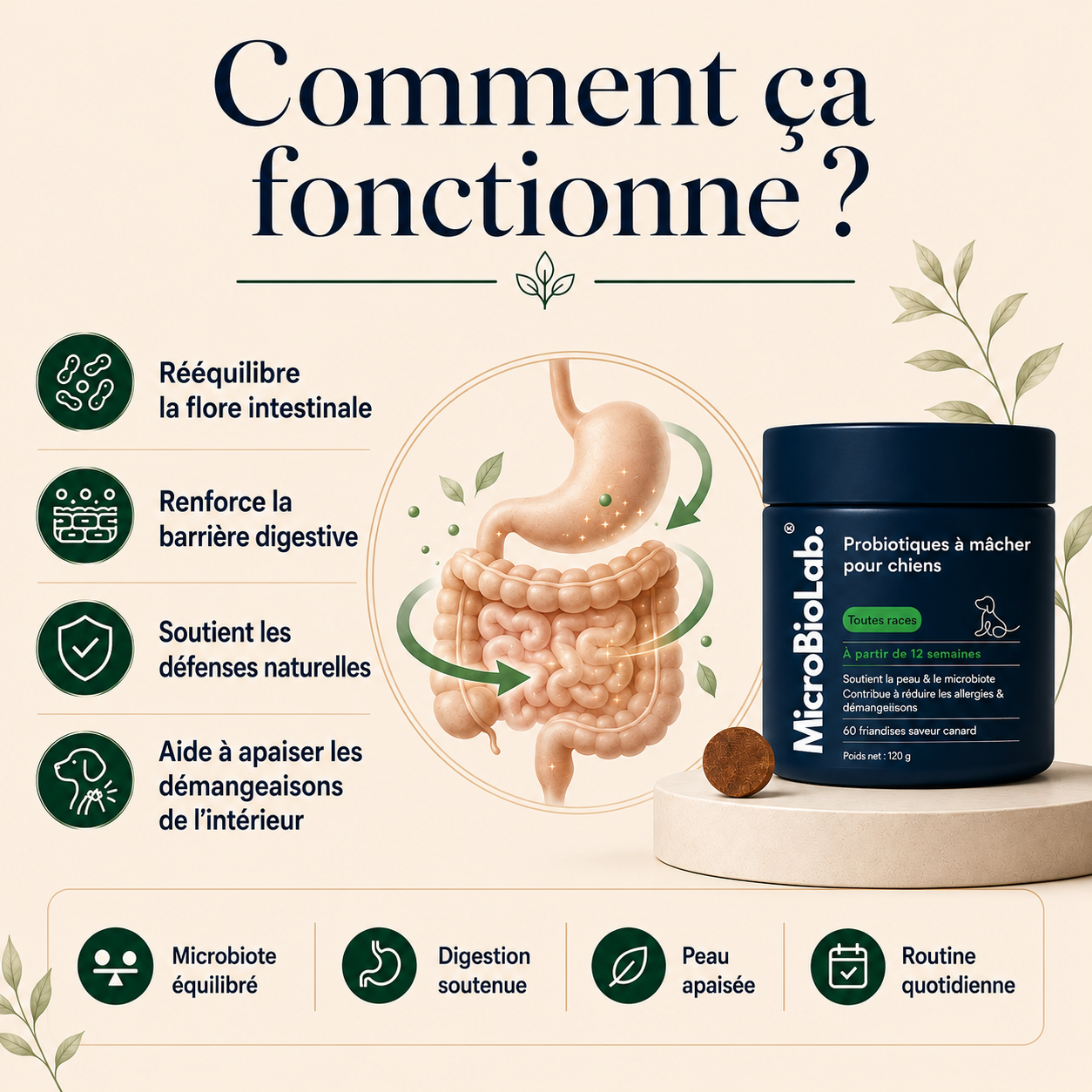 Dailybiotic - probiotiques pour chiens | MicroBioLab.®