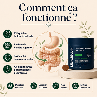 Dailybiotic - probiotiques pour chiens | MicroBioLab.®