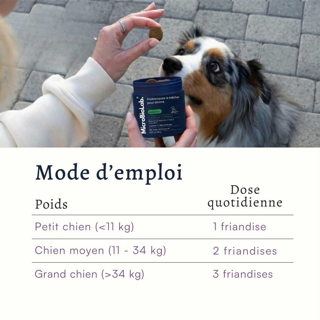 DailyBiotic™ – Probiotiques pour chiens | MicroBioLab.®