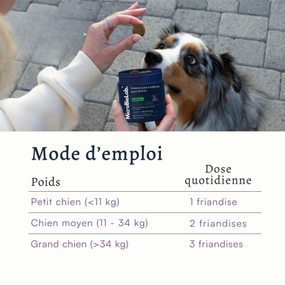 DailyBiotic™ – Probiotiques pour chiens | MicroBioLab.®