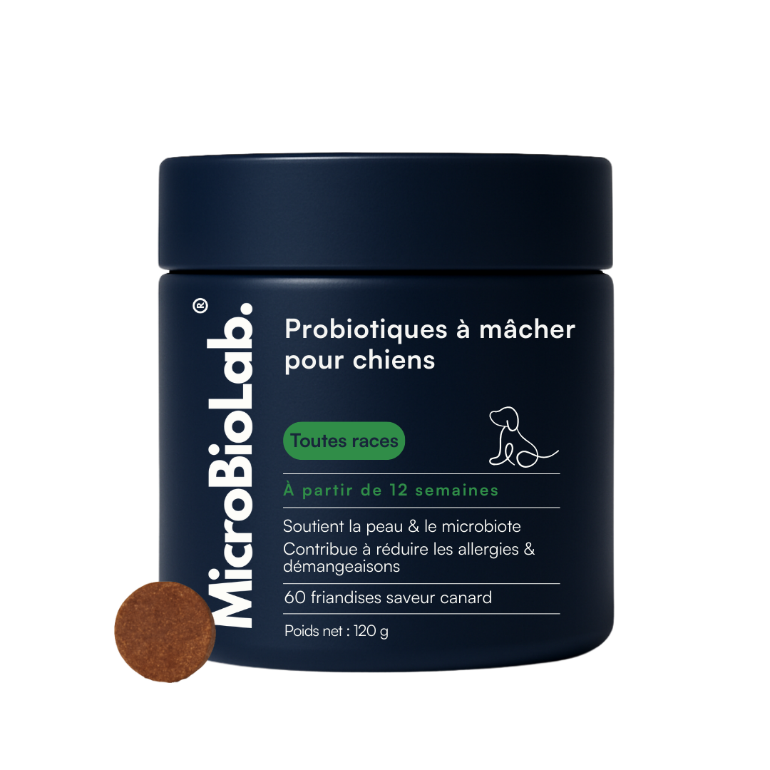 DailyBiotic – Probiotiques pour chiens | MicroBioLab